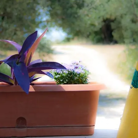 15748c Lägenhet Podaca